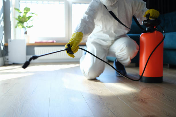 Best Affordable Pest Control Services  in Terrace Heights, WA